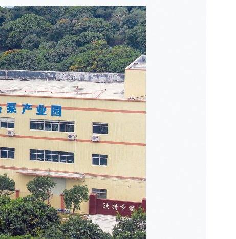 项目案例
